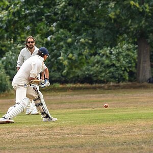 cricket -1.jpg