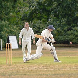 cricket -2.jpg