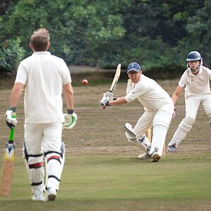 cricket -3.jpg
