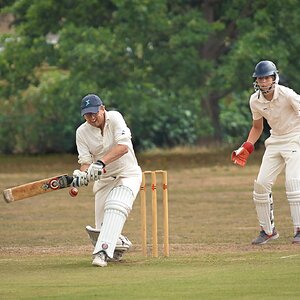 cricket -4.jpg