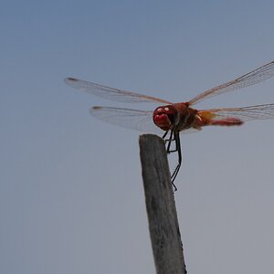 DSC03830.JPG