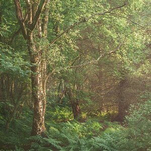 _DSC2397-Edit-2.jpg