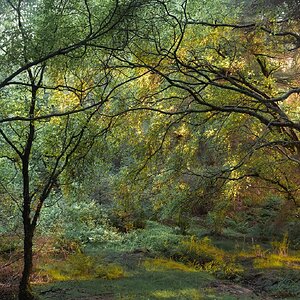 _DSC2403-Edit-Edit-4.jpg