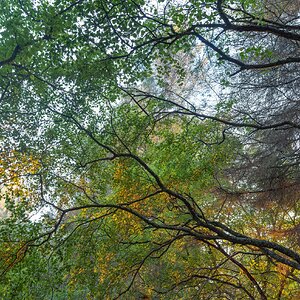 _DSC2410-Edit-5.jpg