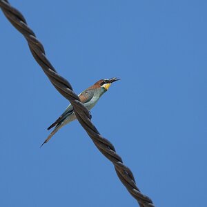DSC02009a.JPG