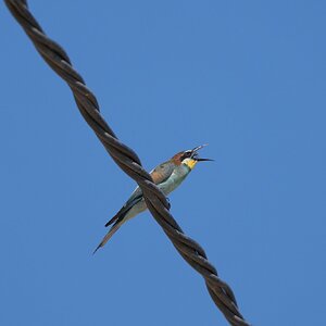 DSC02010a.JPG
