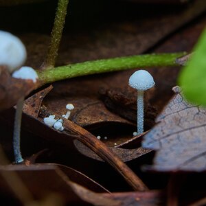 AA_08350.jpg