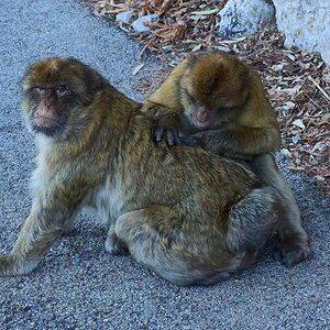 gibraltar 2025 _14.jpg