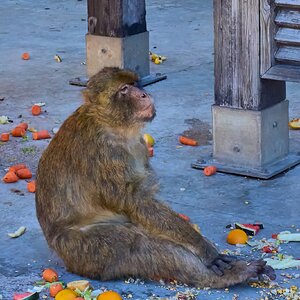 gibraltar 2025 _7.jpg