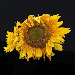 7R506589 2.jpg