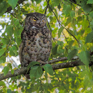 DSC07639_DxO.jpg