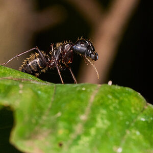 AA_00702.jpg