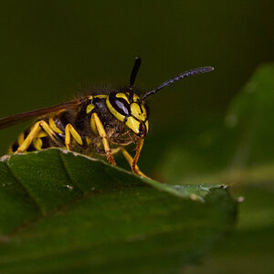 AA_00658.jpg