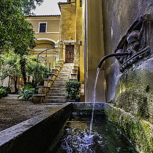 Garden in Rome.jpg
