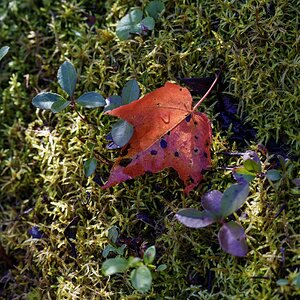 _DSC6766-Edit.jpg