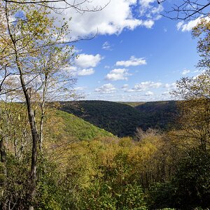 _DSC6774.jpg