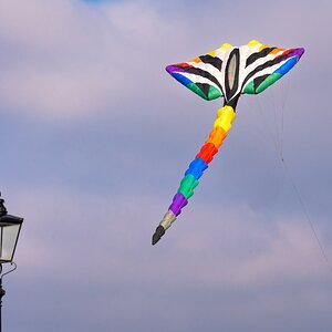 kite-1.jpg