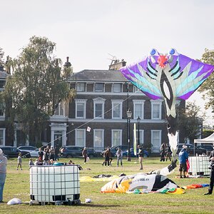 kite-2.jpg