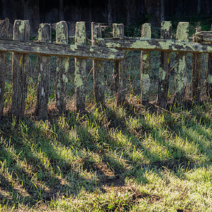 Cool Fense and shadow.jpg