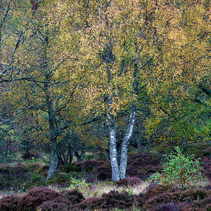 20251026-_DSC7475-Edit.jpg