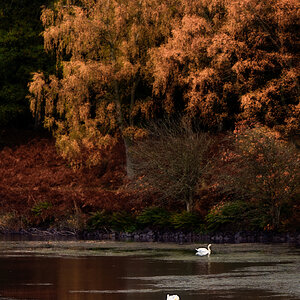 20251026-_DSC7465-DxO_DeepPRIME XD2s-Edit.jpg