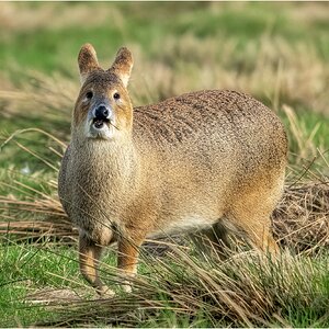 DSC06638 Firefly Upscaler 2x scale.jpg