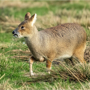 DSC06646 Firefly Upscaler 2x scale.jpg