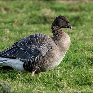 DSC06599 Firefly Upscaler 2x scale.jpg