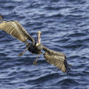 54941902342_500209a5d8_o (1).jpg