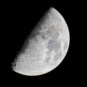 Moon - 11282025 - 01.jpg