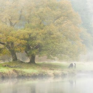 20251011-_DSC6638-DxO_DeepPRIME XD2s-Edit.jpg