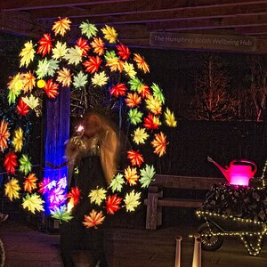 25A04280bridgewater glow moonlight gardener.jpg