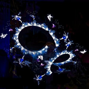 25A04360bridgewater glow moonlight gardener.jpg