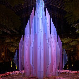 Cloth Tree - Longwood - 12032025 - 01.jpg