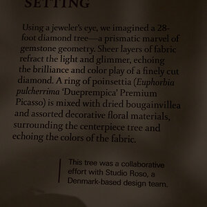 Cloth Tree - Longwood - 12032025 - 02.jpg