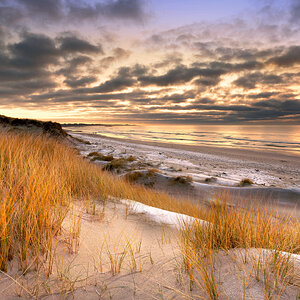 DSC00594-ARW_DxO_DeepPRIME (7mb).jpg