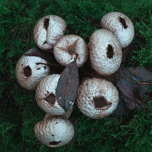 untitled (2 of 2).jpg