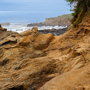 Pebble Beach-Cliffs and Bird