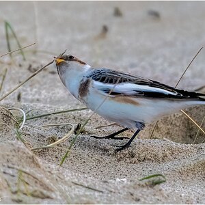 DSC07441 Firefly Upscaler 2x scale.jpg