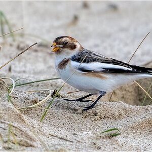 DSC07450 Firefly Upscaler 2x scale.jpg