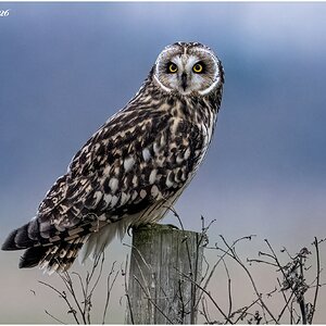 DSC08420 Firefly Upscaler 2x scale.jpg