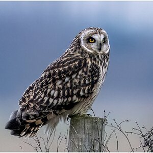 DSC08380 Firefly Upscaler 2x scale.jpg