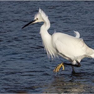 DSC08859 Firefly Upscaler 2x scale.jpg