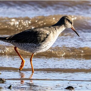 DSC08586 Firefly Upscaler 2x scale.jpg