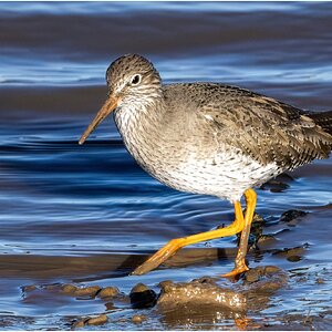 DSC08658 Firefly Upscaler 2x scale.jpg