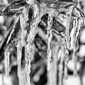Ice BW.jpg