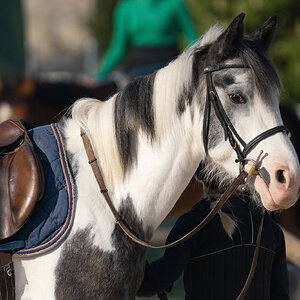 Nice encounter during a walk