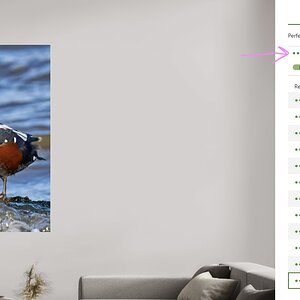 Screenshot 2026-02-25 161906.jpg