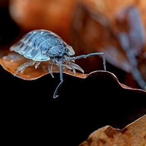 20260225-DSC05975-DxO_DeepPRIME XD2s-Edit.jpg