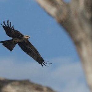 Screenshot 2026-02-28 111249.jpg